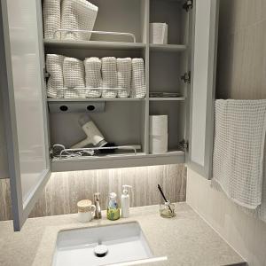 首尔Domus的一间带水槽的浴室和一个带毛巾的橱柜