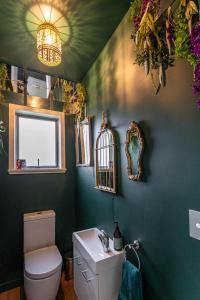 LuggateThe Artist's House Wanaka的一间带卫生间、水槽和镜子的浴室