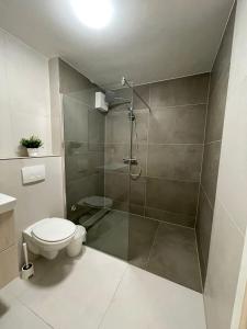 埃森Apartments Skyreach-WohnZimmer的带淋浴和卫生间的浴室