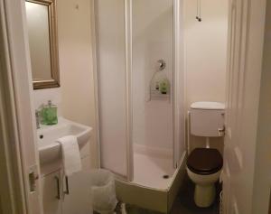 卢坎3 Bedroom 3 Bathroom House, Dublin的带淋浴、卫生间和盥洗盆的浴室