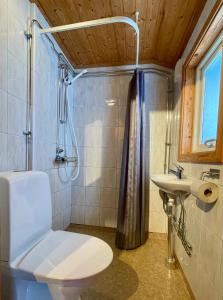 UrshultUrshult Camping的一间带卫生间和水槽的浴室