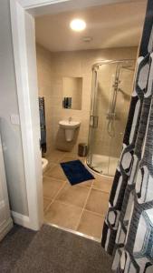 MeighJohnny Murphy's Guest Rooms的带淋浴、卫生间和盥洗盆的浴室