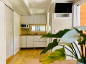 塔里法帕洛玛露营酒店的前景厨房,配有白色橱柜和植物