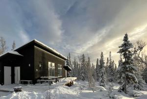 奥勒Mountain Holiday Homes - Ottsjö, Trillevallen -Sweden的雪地里的小木屋,有树