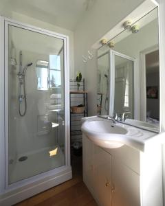 拉罗什波赛Le Jardin des Lys的带淋浴和盥洗盆的白色浴室