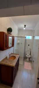 弗洛里亚诺波利斯Sieber's Residence的一间带水槽、淋浴和卫生间的浴室