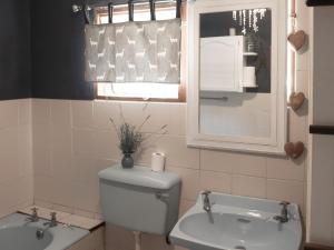 东伦敦Milkwoodbend Farm Resort的一间带卫生间、水槽和窗户的浴室