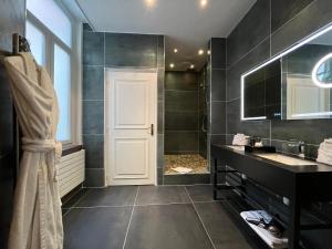 敦刻尔克LOGIS Hôtel Borel的带淋浴、水槽和门的浴室