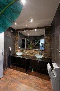富瓦Hotel du Lac Foix的浴室设有2个水槽和镜子