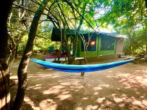 雅拉Podi Hoona Luxury Bush Camp的小房子前面的蓝色吊床