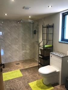 马奇温洛克Westwood Lodge的带淋浴、卫生间和盥洗盆的浴室