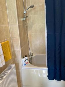 伦敦Gresham House - London Excel的浴室内配有蓝色淋浴帘