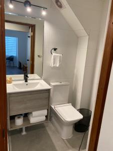 普孔Termas Palguin的浴室配有白色卫生间和盥洗盆。