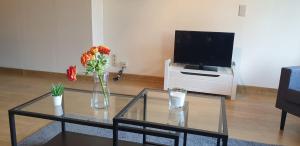 布兰肯贝赫Appartement Blankenberge的客厅配有花瓶和电视