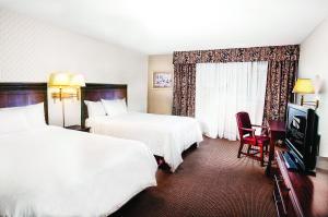 尼亚加拉瀑布克利夫顿维多利亚瀑布旅馆 的酒店客房设有两张床和电视。