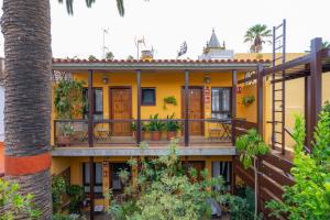 拉拉古纳艾索梅达德伽托酒店的种有植物和棕榈树的黄色房子
