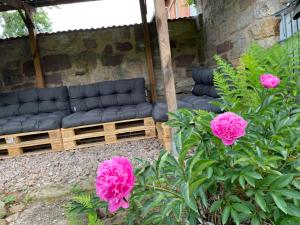汉恩明登Gästehaus Bonaforth的天井配有黑色沙发和粉红色的鲜花
