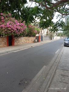 科托努Timba belleVilla的一条空的街道,墙上挂着粉红色的花朵