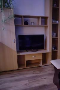 奥格雷Apartamenti dzīvoklis Ogre.的木质娱乐中心的平面电视