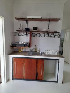 卢萨卡Zambia House的一个带水槽和柜台的小厨房