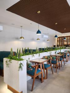 Santa ElenaHotel Tepeu的一间设有桌椅的餐厅,种植了植物