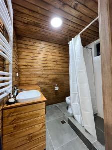 KʼumlistsʼikheGudauri Sikhaura的浴室配有白色水槽和卫生间。