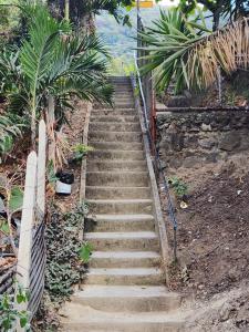 Hadassah的花园中设有围栏的楼梯