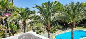 佩德雷尔Bungalow Le Petit Chat的享有棕榈树度假村游泳池的景色