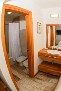 圣卡洛斯-德巴里洛切康普雷由巴谢41号公寓的一间带水槽、卫生间和镜子的浴室