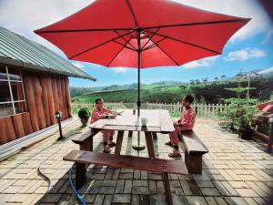 AmbawelaCharley's Heaven Ambewela的两个孩子坐在野餐桌上,带一把红伞