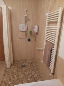沃特福德Four Seasons的带淋浴和卫生间的浴室