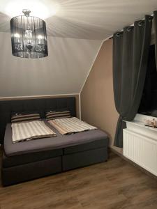 霍恩-巴特迈恩贝格Ferienwohnung Rosa - b48939的一间卧室配有一张床和一个吊灯