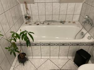 霍恩-巴特迈恩贝格Ferienwohnung Rosa - b48939的植物浴室内的白色浴缸