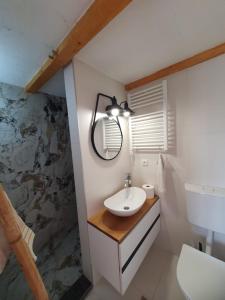 巴尼亚卢卡Apartman VikendicaManja Banja Luka的一间带水槽和镜子的浴室