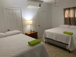 拉塞瓦Complejo Deportivo Wilson Palacios的一间卧室配有两张床和绿毛巾。
