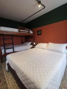 布卡拉曼加La Bonita Guesthouse的带两张双层床的客房中的两张床