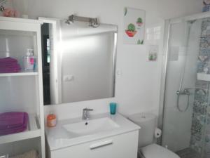 特尔德Carmencita y Manolito的一间带水槽、卫生间和镜子的浴室