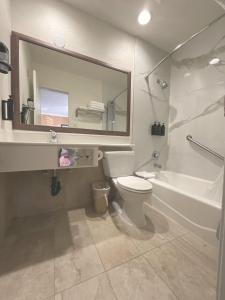 安纳海姆安纳海姆艾兰德套房汽车旅馆的一间带卫生间、水槽和镜子的浴室