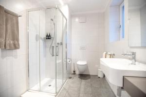 洛迦诺Miralago Locarno Easy Rooms的带淋浴、卫生间和盥洗盆的浴室