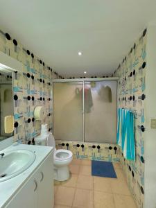 巴拿马城Hostal Panama Experience的浴室配有卫生间、淋浴和盥洗盆。