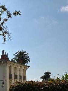 尼斯Provencal house, sea side, private parking的一座棕榈树顶部的建筑