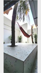 孟买Hammock Hostels - Bandra的吊床挂在棕榈树上