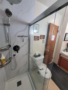 埃德蒙顿The Dewberry Homestay B&B的浴室设有玻璃淋浴间和卫生间