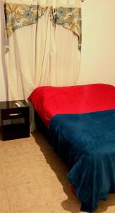 卡塔马卡Alquiler Temporario Catamarca的靠窗的一张带红蓝色毯子的床