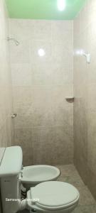 卡塔马卡Alquiler Temporario Catamarca的一间带卫生间和淋浴的浴室
