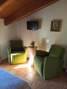 阿尔巴拉辛索尔德拉维加旅馆的客厅配有两把椅子和电视