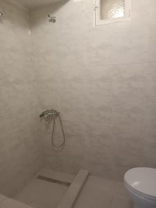 科扎尼Kipseli 1的带淋浴和卫生间的浴室