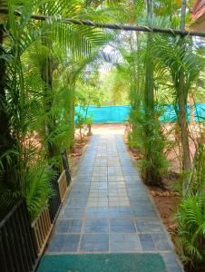 黎明之村Smiley Resorts的一条穿过棕榈树花园和游泳池的路径