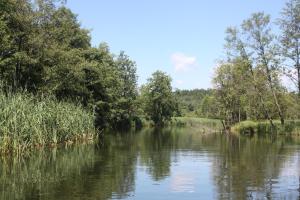 斯沃尔纳加西耶Domek z Widokiem.的一条有树的河