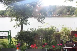 斯沃尔纳加西耶Domek z Widokiem.的享有湖泊美景,拥有树木和鲜花